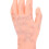 Modèle des points d'acupuncture de la main gauche, PVC, pour l'enseignement 12