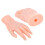 Modèle des points d'acupuncture de la main gauche, PVC, pour l'enseignement 11
