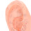 Modèle de zone de l’oreille en PVC – Pression sur les points d’acupression auriculaires – 13 cm 15