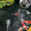 Diamond Shaped Spliceable Fish Protection Netting Pond Netting Fish Pond Netting 11