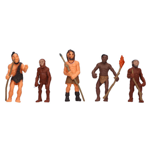 Vinile Antichi Umani: Homo Erectus 6,8x7cm 1