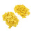 100 pezzi di etichette auricolari vuote taglia 1 TPU giallo 1