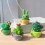 4 pièces de mini cactus en résine, décoration de bureau 5