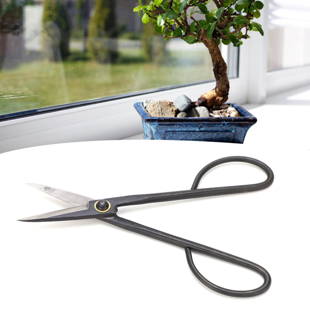 Bonsai Scissors SK Steel 210mm Pruning Shears with Long Handle for Garden Plants Trimming-image-OPC-PHVZTBG-NEW