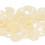 Elastici ortodontici 100 pezzi 1/4 di pollice assortiti 10