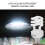 Lampada UVB per rettili 5.0 20W, E27, vetro chiaro 6
