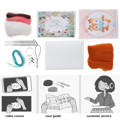 187# Kit Ballet Cerf, 1 ensemble, laine multicolore 2
