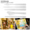 Set di 5 spatole per pittura in plastica - bianco 11