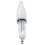 LED-Tintenfisch-Köderlicht 12cm Grün, Blitz- & Dauerlicht-Modus, integriertem Akku 1