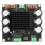 TDA8954TH mono 420W PCB amplificatore duale 12-28V 2