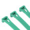 Bagues de patte numérotées de 1 à 100, taille unique, PP, 140 g, vert 9