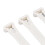 1-100 bagues d'identification pour patte de poulet numérotées, blanc standard 6