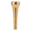 Embouchure de trompette 5C cuvette en laiton doré 14