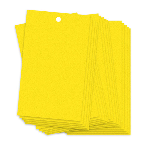 Piège adhésif 20  15 cm, 20 pièces, à double face jaune/bleu 2