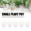 5 pots auto-arrosants PP PET 11,5 x 11 x 8 cm 4