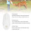Biberon per agnelli 2 L, 347 cm, Trasparente 4