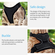 Verstellbares schwarzes Nylon-Katzenhalsband mit Leine – Ausbruchssicher, Größenanpassung möglich