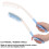 Brosse à cheveux à manche extra-longue bleue et blanche 7