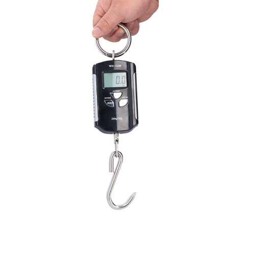 Bilancia a gru 200 kg/100 g portatile argento-nero 2