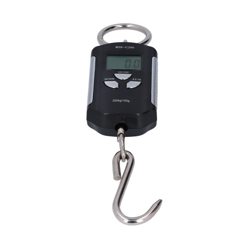 Bilancia a gru 200 kg/100 g portatile argento-nero 1