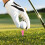 Golf Tack Set da 5 tee - 7,5 cm/3,0 in, Colore a caso 4