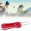 Modello Strumento per divot a forchetta da golf, Dimensione 12 cm, Rosso, 29 g 14