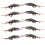 10 pièces modèles de cafards accessoires de farce 73,40,6 cm 9