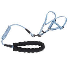 Harnais pour chien avec laisse - Modèle S, 1,54 kg, Bleu