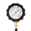VT01052 12pcs Engine Oil Pressure Tester Diagnostic Testing Tool Cylinder Gauge Utility Testing Tool 5