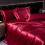 Luxury Silk 4-Piece Bedding Set with Printed Dyeing1.8m bed sheet four piece set 1