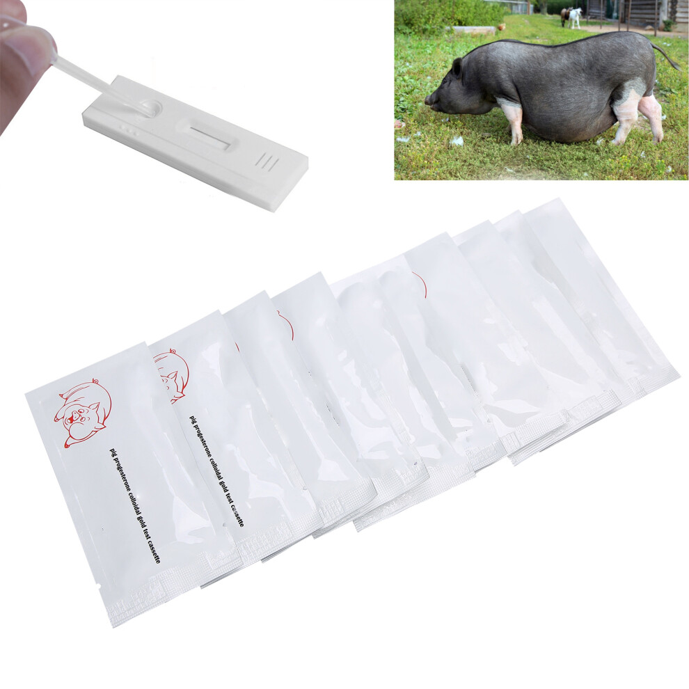 10Pcs Pig Pregnancy Test Strip Early Pregnant Detection Testing Tool Livestock Supply