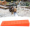 10in Plastic Wedges High Impact Logging Falling Cutting Cleaving Wedges Carpentry Tool 1