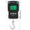 Portable Digital Scale Digital Display Hanging Hook Electronic Scale with Measuring Tape 75kg 5