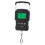 Portable Digital Scale Digital Display Hanging Hook Electronic Scale with Measuring Tape 75kg 13