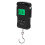 Portable Digital Scale Digital Display Hanging Hook Electronic Scale with Measuring Tape 75kg 11
