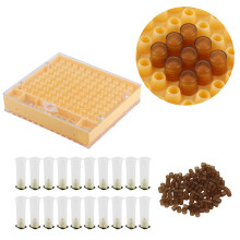 Queen Bee Rearing Box Cage Plastic Breeding Cell Cup Kit Beekeeping Equipments Supplies
