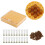 Queen Bee Rearing Box Cage Plastic Breeding Cell Cup Kit Beekeeping Equipments Supplies 1