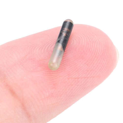 10Pcs/Set 2.12MM Glass Pet Microchip Standard Animal Chip Implants for Identification 2