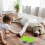2er-Pack Tierfutterdosendeckel mit Löffel, 3-in-1-Universal-Silikon-Futterdosendeckel für Katzen 4