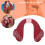 Electric Hip Trainer Remote Butt Muscle Stimulator Rechargeable Lifting Buttock TonerRed 3