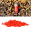 250PCS Plastic Opening Bee Queens Cage Protective Cell Cover Beekeeping Tool Supplies 10