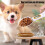 Electric Digital Spoon Scale Food Measuring Scales Kitchen Baking Accessory with LCD Display 7