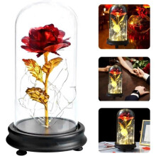 Ewige Rose unter Glas - LECOO - 24 Karat vergoldet - Rot - Dekoobjekt