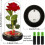 Ewige Rose in einer Glasglocke – LECOO – Rot – Glasglocke mit LED-Lichtern 4