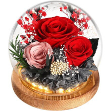 Ewige Rose, Muttertagsgeschenk, Glaskuppel mit LED-Licht, Geschenk für Frauen, Mama, Freundin, Ehefrau