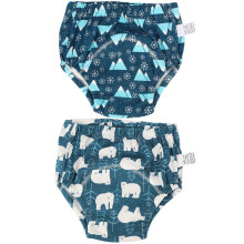 2pcs Baby Pee Potty Training Pants Infant Cotton Training Underwears for Newborn2# L