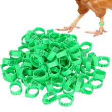 Grün 100 Stück Geflügel-Fußringe für Huhn, Ente, Vogel, Schnallenklemme, Fütterung
