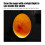 Egg Incubator Tester Candling Lamp 9 Light Bright Cold Hatching Poultry AccessoryBlack 9