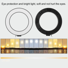 Hochhelligkeits-16cm-LED-Ringlicht für Handy-Selfies & Videos, dimmbare Fülllampe
