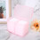 Nagellack-Organizer-Case Rosa - 2 Gitter Entferner-Pad-Halter Kompakt & Robust 13